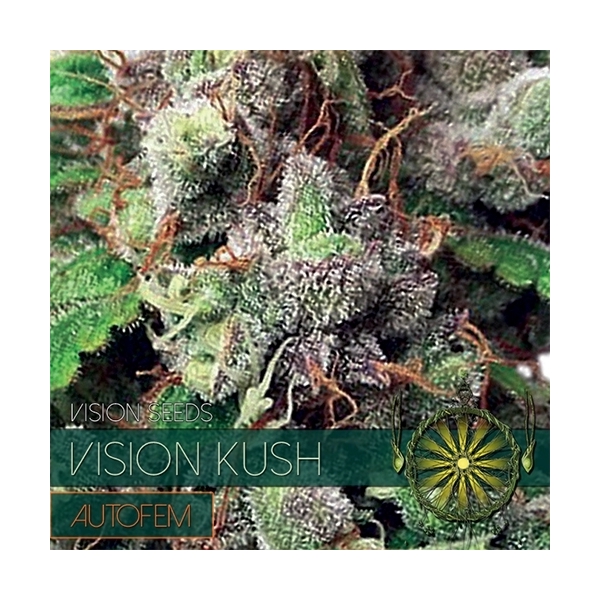 Vision Kush Samonakvétací (Vision Seeds) feminizovaná