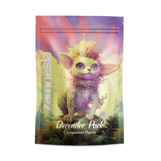 Buddy Mix Pack OBR&Aacute;NCE