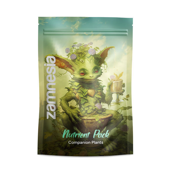 Směsný balíček Buddy – ŽIVINY