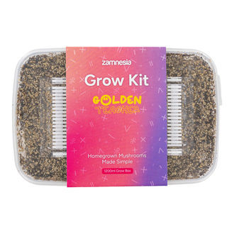 Pěstební sada Zamnesia „Golden Teacher"