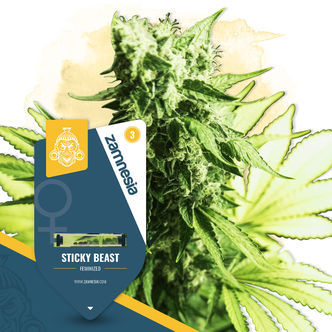 Sticky Beast (Zamnesia Seeds) feminizovan&aacute;