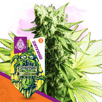 Sticky Beast (Zamnesia Seeds) feminizovan&aacute;