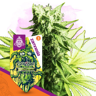 Sticky Beast (Zamnesia Seeds) feminizovan&aacute;