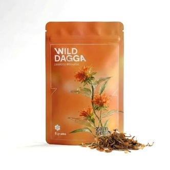 Divok&aacute; dagga (Leonotis leonurus)
