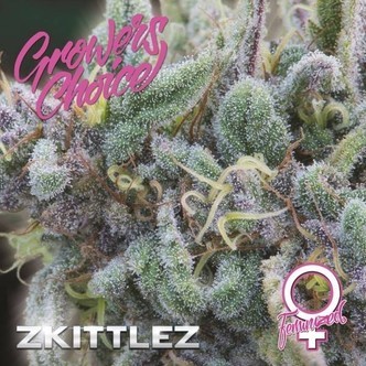 Zkittlez (Growers Choice) feminizovan&aacute;