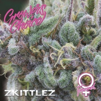 Zkittlez (Growers Choice) feminizovan&aacute;
