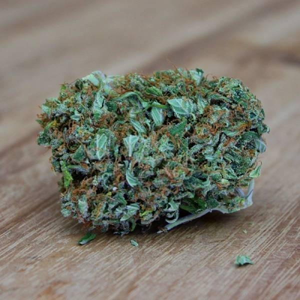 Amnesia Ganja Haze (Sumo Seeds) feminizovaná