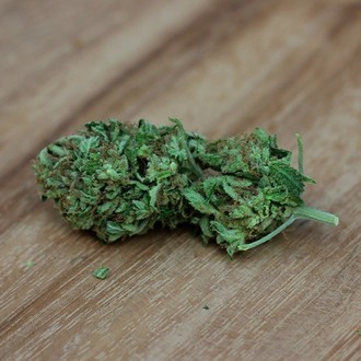 Sweet Harlem Diesel (Sumo Seeds) feminizovaná