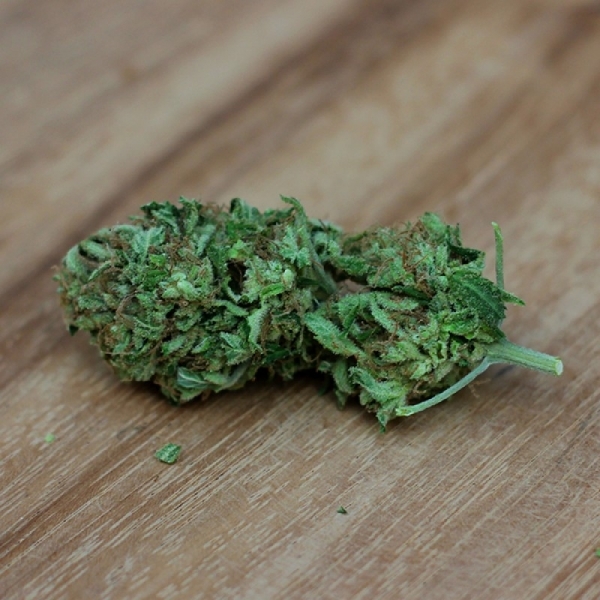 Sweet Harlem Diesel (Sumo Seeds) feminizovaná