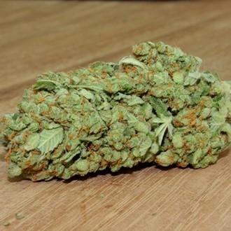 Thunderstruck (Sumo Seeds) feminizovaná