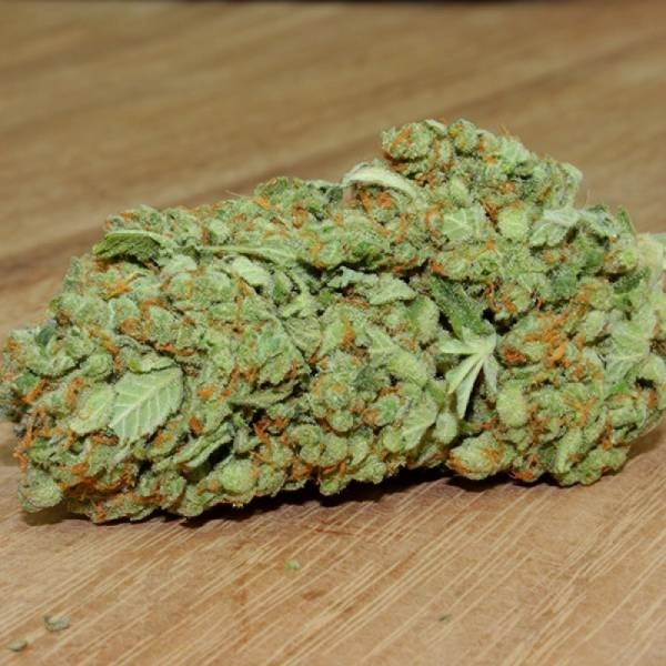 Thunderstruck (Sumo Seeds) feminizovaná