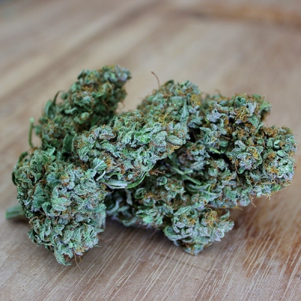 Sumo's OG Kush (Sumo Seeds) feminizovaná