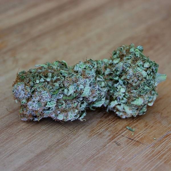 White Widow Original (Sumo Seeds) feminizovaná