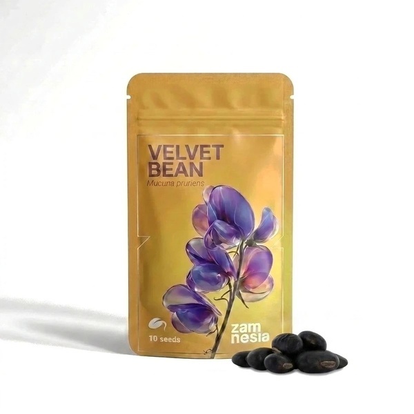 Velvet Bean semena (Mucuna pruriens)