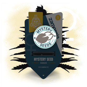 Zamnesia Mystery Seed (feminizované)