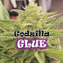 Godzilla Glue (Dr. Underground) feminizovaná