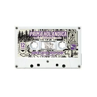 Prima Holandica (Super Sativa Seed Club) regul&eacute;rn&iacute;