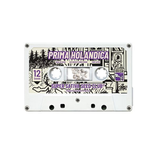 Prima Holandica (Super Sativa Seed Club) regulérní