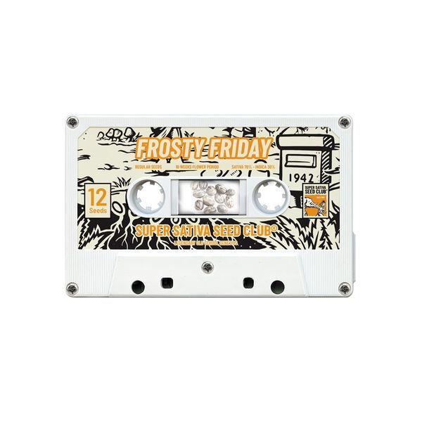 Frosty Friday (Super Sativa Seed Club) regulérní