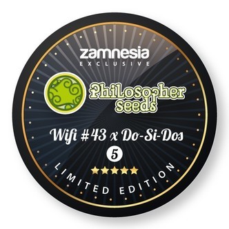 Wifi 43 x Do-Si-Dos (Philosopher Seeds x Zamnesia) feminizovan&aacute;