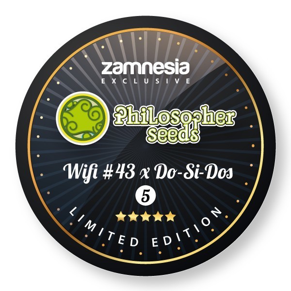 Wifi 43 x Do-Si-Dos (Philosopher Seeds x Zamnesia) feminizovaná