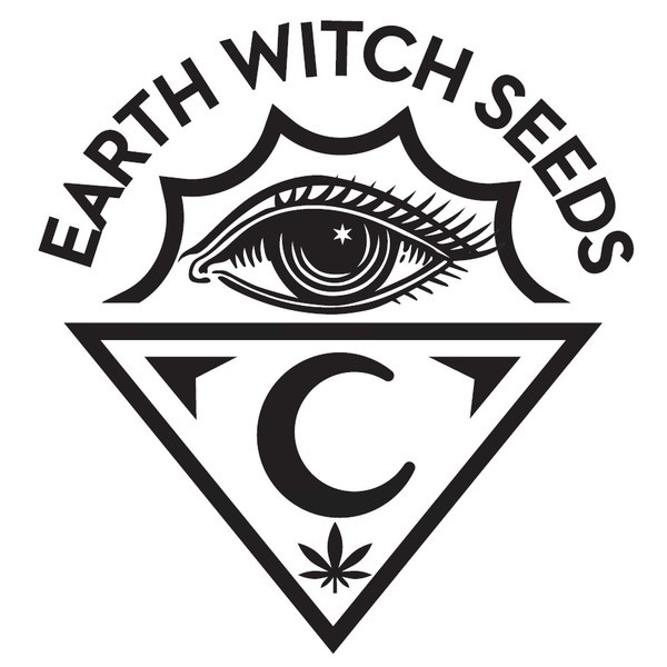 Pumpkin Punch (Earth Witch Seeds) regulérní