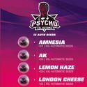 Psycho XXL Samonakvétací MIX (BSF Seeds) feminizovaná