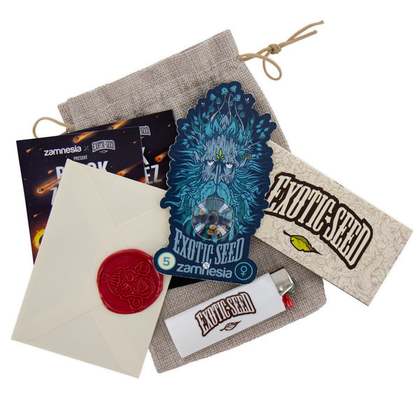 Black ZZ (Exotic Seed x Zamnesia) feminizovaná