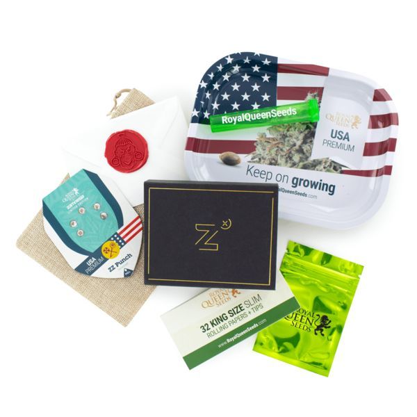 ZZ Punch (Royal Queen Seeds x Zamnesia) feminizovaná