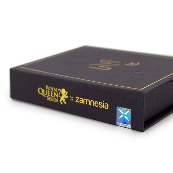 ZZ Punch (Royal Queen Seeds x Zamnesia) feminizovaná