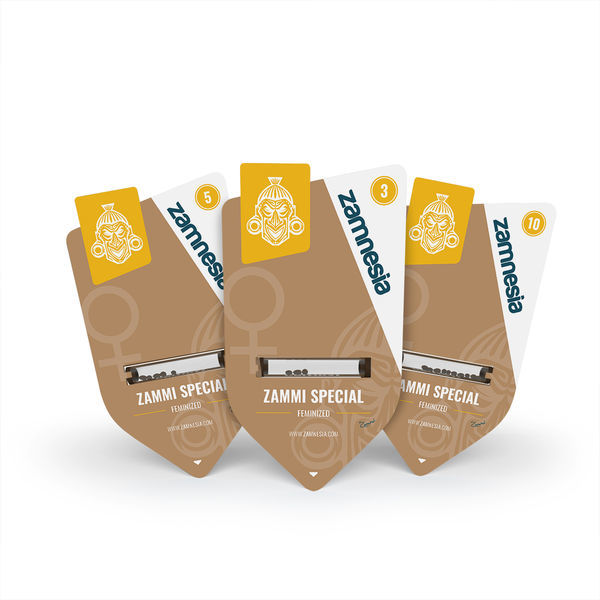 Zammi Special (Zamnesia Seeds) feminizovaná