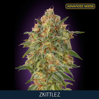 Zkittlez (Advanced Seeds) feminizovan&aacute;