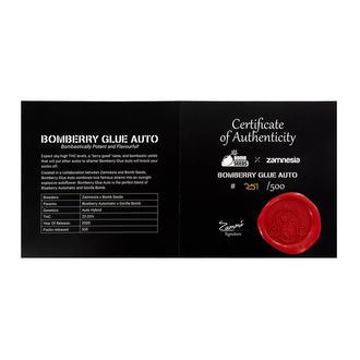 Bomberry Glue Samonakvétací (Bomb Seeds x Zamnesia) feminizovaná