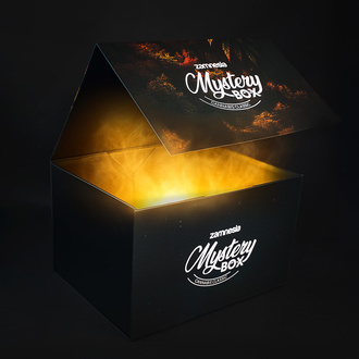 Cannabis Mystery Box – Classic (Zamnesia)
