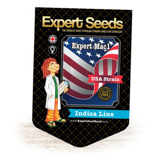 Expert Mac1 (Expert Seeds) feminizovan&aacute;