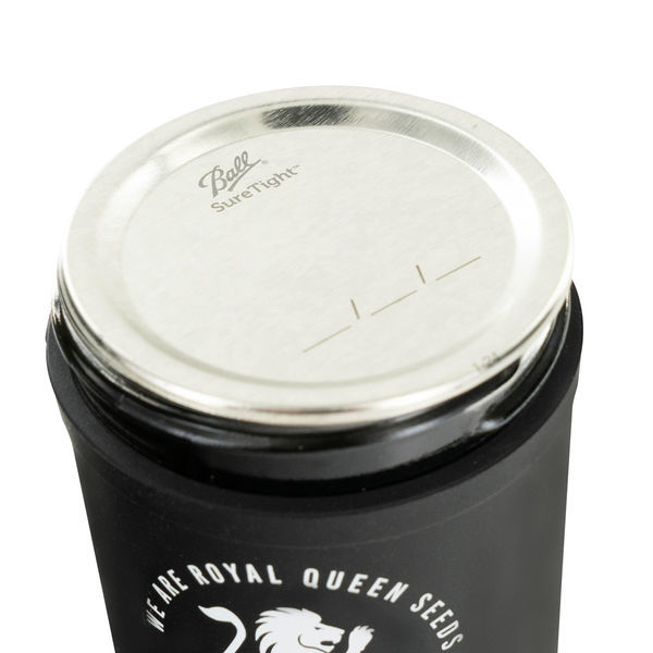 Re:stash sklenice (Royal Queen Seeds) 8 oz