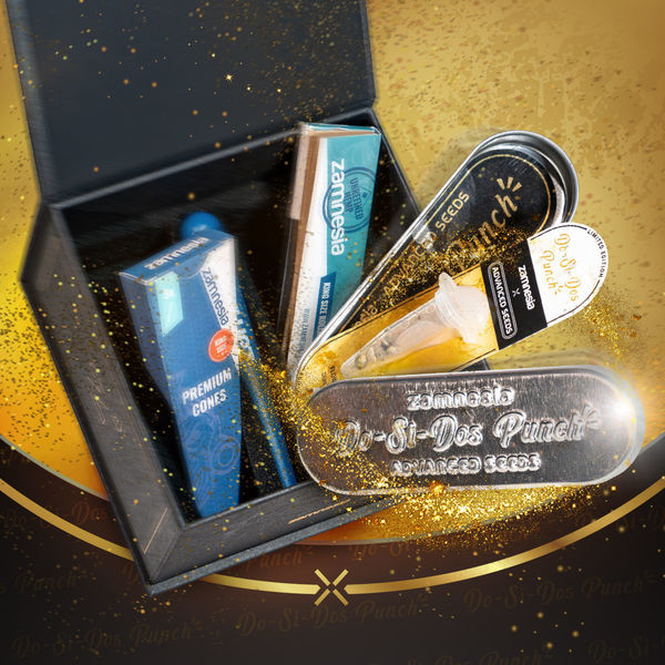 Do-Si-Dos Punch (Advanced Seeds x Zamnesia) feminizovaná