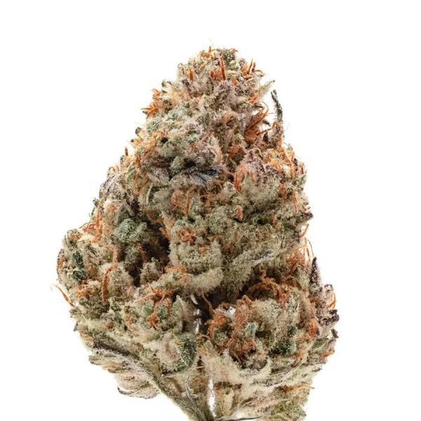 Octane Fire (Growers Choice) feminizovaná