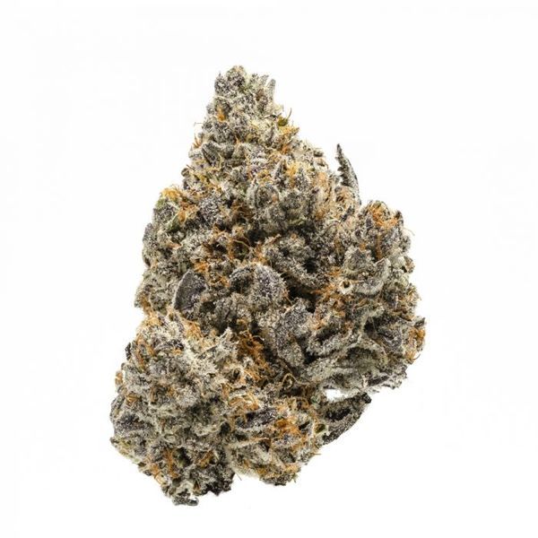 Rainbow Runtz (Growers Choice) feminizovaná