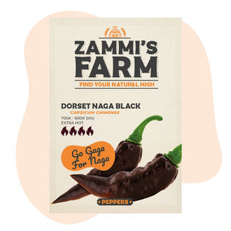 Semena Dorset Naga Black