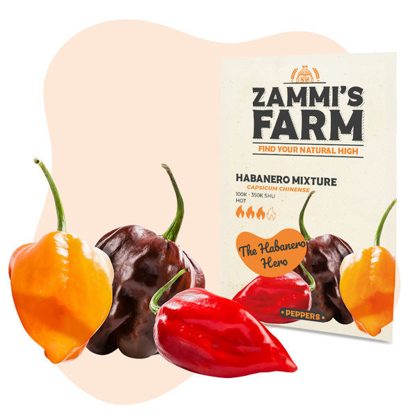Směs semen habanero