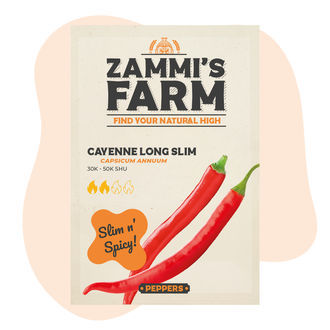 Semena Cayenne Long Slim