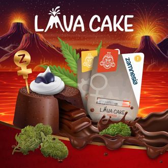 Lava Cake Samonakvétací (Zamnesia Seeds) feminizovaná