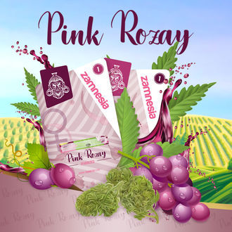 Pink Rozay (Zamnesia Seeds) feminizovaná