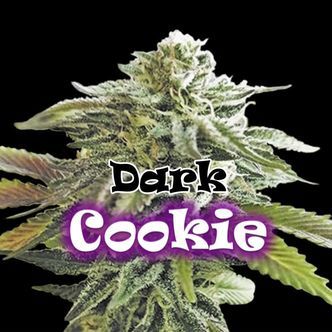 Dark Cookie (Dr. Underground) feminizovan&aacute;