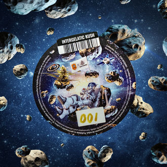 Intergelatic Kush (Kannabia x Zamnesia) feminizovaná