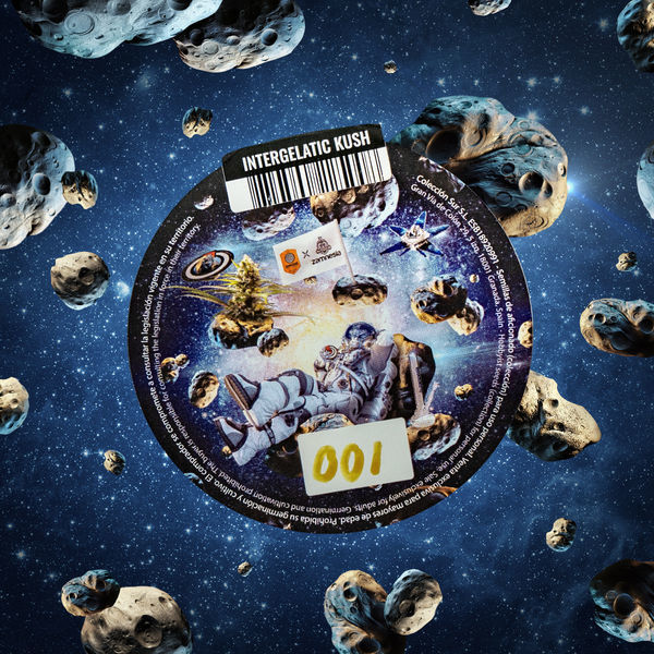 Intergelatic Kush (Kannabia x Zamnesia) feminizovaná