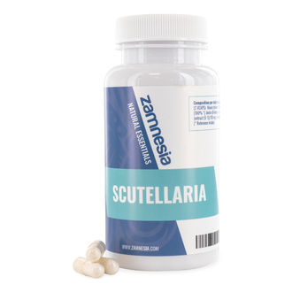 Šišák (Scutellaria)