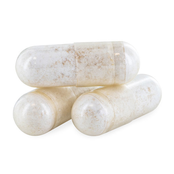 Šišák (Scutellaria)