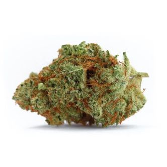 Naranja Biscotti Fast Version (Growers Choice) feminizovan&aacute;